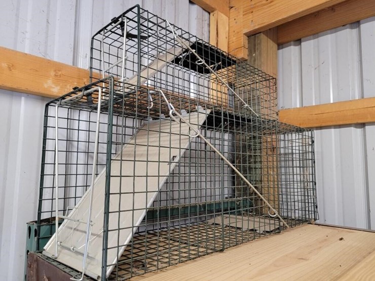 live-catch-traps-image-1