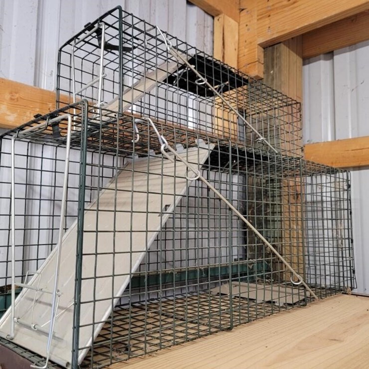 Live Catch Traps