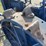 rumely-doall-image-40