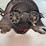 (2)-black-hawk-corn-sheller-image-18