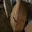 pair-of-fenders-–-believed-to-be-oliver-image-3
