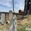 peterbilt-379-image-14