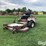 grasshopper-616-image-3