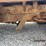 1960-ford-f350-image-17