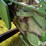 1999-john-deere-925-image-13