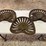 (3)-cast-iron-seats-image-1