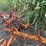 allis-chalmers-cultivator-image-4