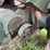 allis-chalmers-20-35-image-42