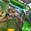 john-deere-546-image-17
