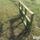 vassar-4-prong-bale-spike-image-1