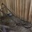 (3)-horse-drawn-implements-image-15