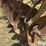deere-tires-image-17