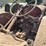 mccormick-deering-image-26