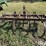 graham-b-sm8aa-3-pt-7-shank-chisel-plow-image-6
