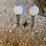 lighting-rods-and-american-flag-painted-on-old-window-image-3