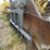 1974-caterpillar-d7f-image-20