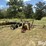 deere-tires-image-4