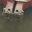 pair-of-international-harvester-teardrop-rear-fenders-image-2