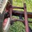 mccormick-w-4-standard-image-22