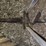 (3)-horse-drawn-implements-image-20