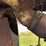 farmall-f-20-image-71
