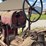 farmall-f-20-image-29