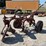 2-bottom-plow-image-7