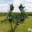 john-deere-960-image-2