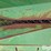 john-deere-853-image-16