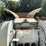 2016-metso-lt106-image-12