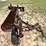 hydraulic-swing-19-disk-bar-image-2