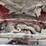 1984-ford-f250-image-66