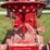 farmall-f-14-image-43