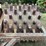 large-roller-image-13