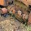 allis-chalmers-u-image-25