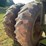 john-deere-4620-image-49
