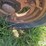1949-farmall-m-2wd-tractor-image-17