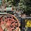 1898-nichols-and-shepard-co.-traction-engine-image-9