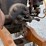 2-hp-stover-hit-and-miss-engine-image-12