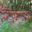 allis-chalmers-cultivator-image-2