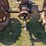 farmall-450-diesel-image-4