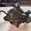 (2)-black-hawk-corn-sheller-image-8