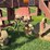 international-133-image-17