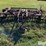 international-330-image-2
