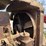 farmall-f-20-image-39