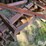 international-tandem-disk-image-17