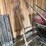 horse-drawn-sleigh-image-12