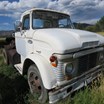 elder-auto-a-gold-mine-of-dodge-trucks!-image