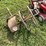 #2544-•-big-red-barbed-wire-reel-image-2