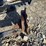 #23905-•-yetter-~15'-row-marker-image-9